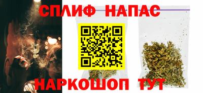 прущие грибы Дубна