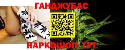 прущие грибы Дубна