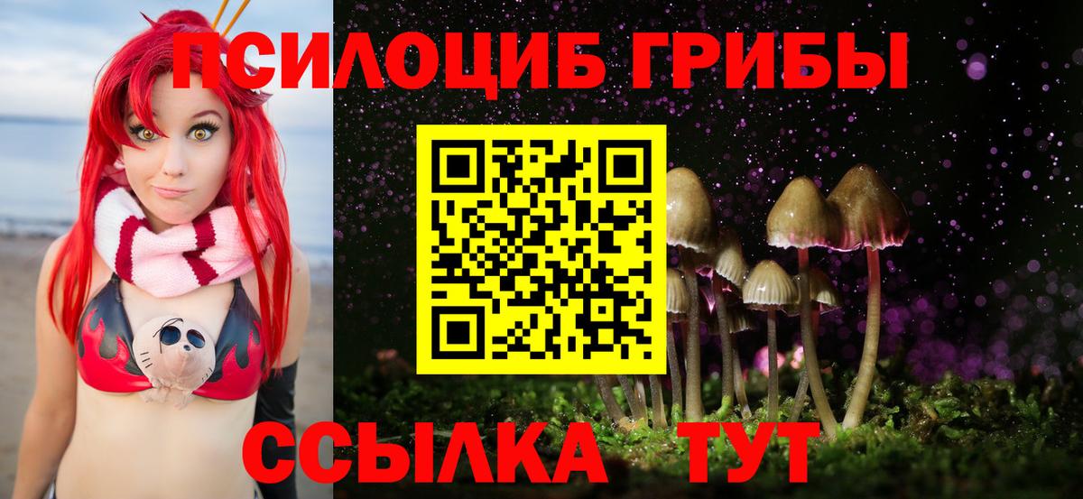закладка  Псилоцибиновые грибы MAGIC MUSHROOMS  Вход с VPN  Корсаков  Галлюциногенные грибы Magic Shrooms 