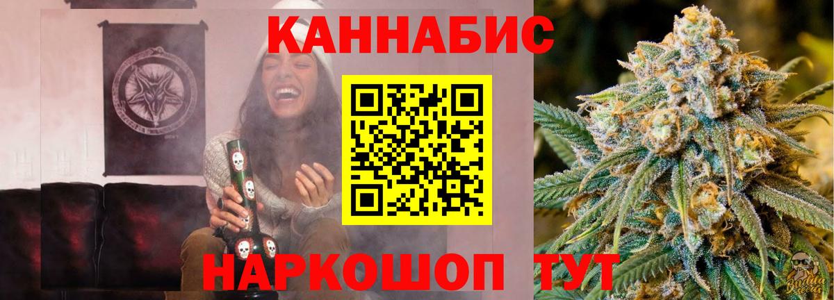Конопля сатива Корсаков
